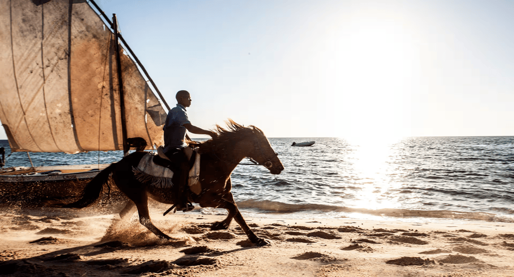 A horse and rider galloping along a sandy beach with a sailboat in the background, illuminated by the bright sun reflecting on the water.